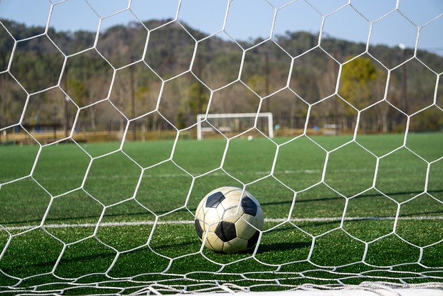 虽然俄罗斯 虽然俄罗斯