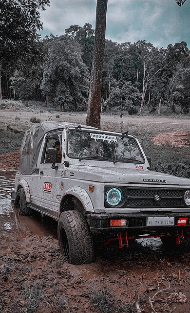 他不仅能担 他不仅能担