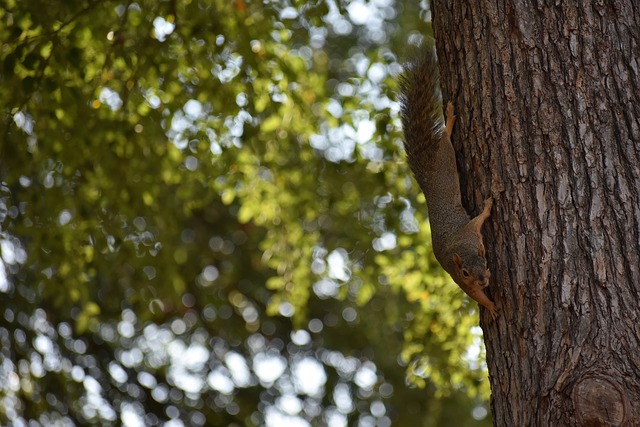 良机给人带 良机给人带