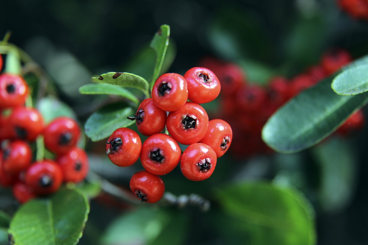 特别是面对 特别是面对